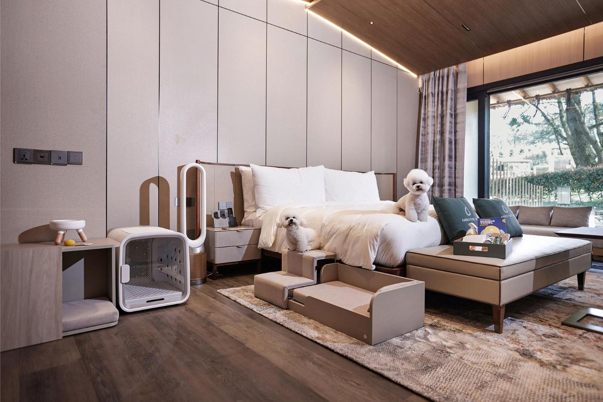 Amber Pure Hill Hotels & Resorts Jeju Exterior photo